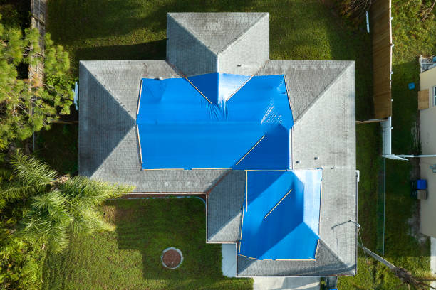 Best Sheet Metal Roofing  in Burlington, IA